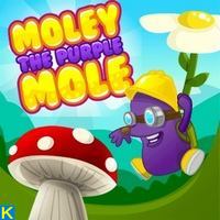 PurpleMole
